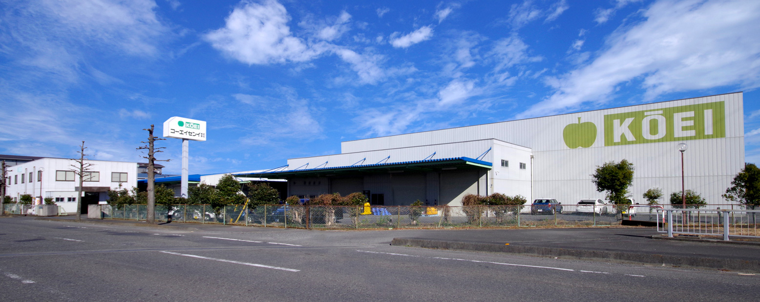 コーエイセンイ株式会社